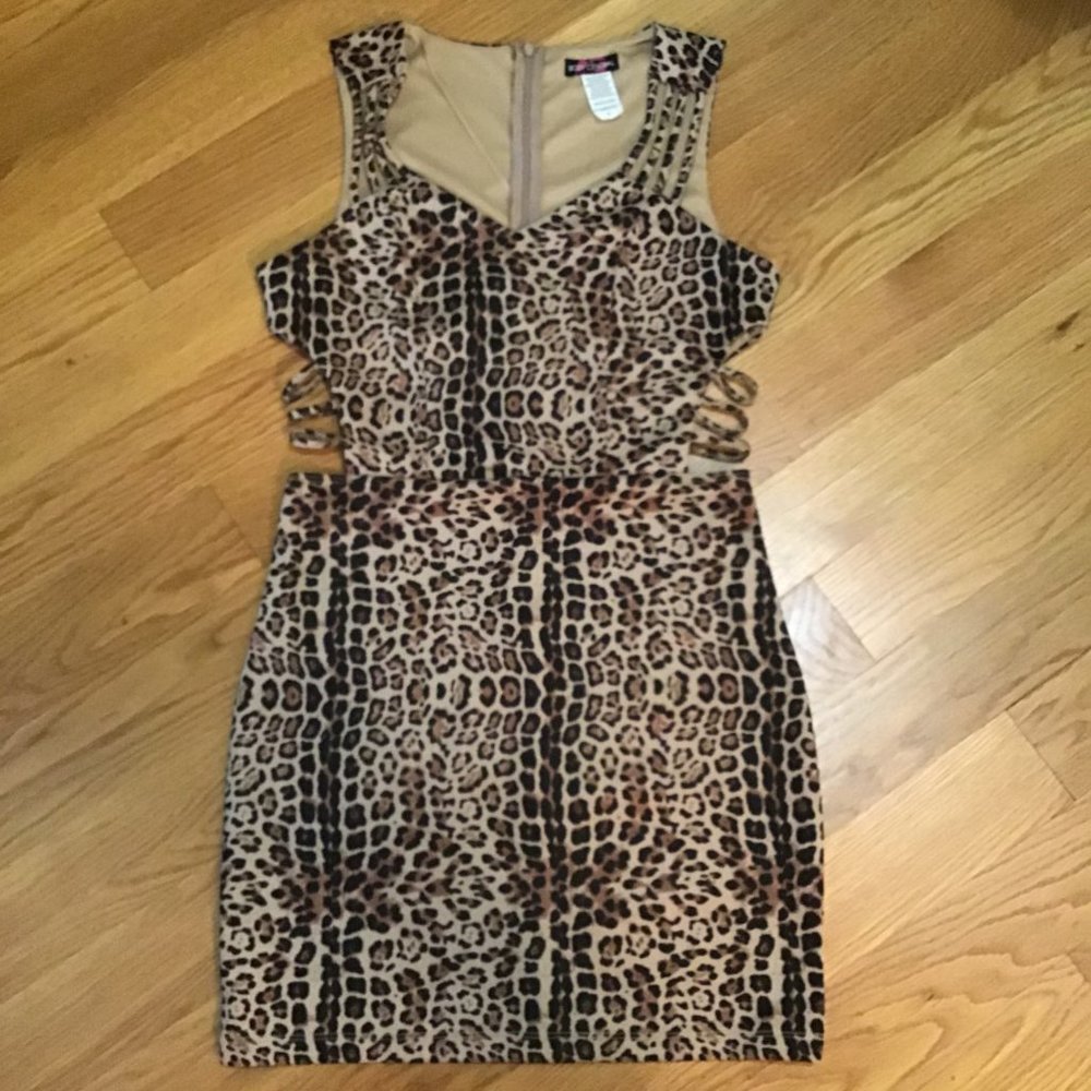 Leopard Print Dress